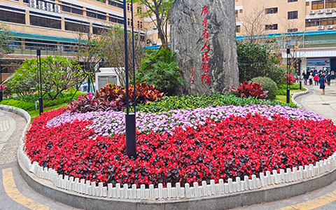 �㶫ʡ����ҽԺ�̻�������������ABGŷ������԰�ָ���ҽ�ƻ�������