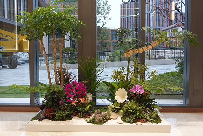 �Ϻ��������Ϊ�з�����ֲ�����