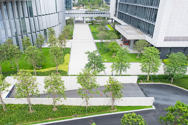 ��ɽ�����������ܲ����۹���ʩ��