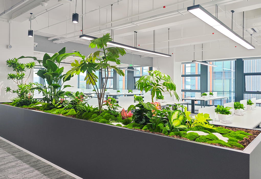 ��Ϸ��˾�ܲ���ֲ���